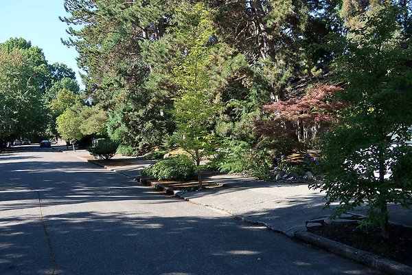 Madison Park Residential Streets 2025 - 58