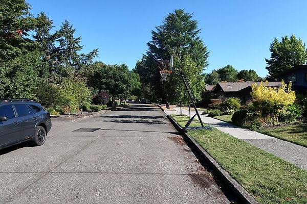 Madison Park Residential Streets 2025 - 50