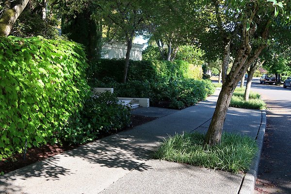 Madison Park Residential Streets 2025 - 37