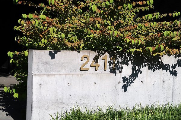 Madison Park Residential Streets 2025 - 27