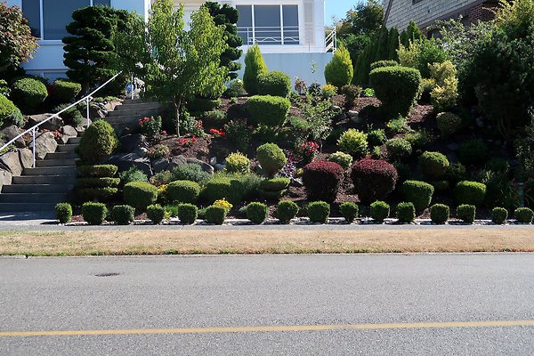 Magnolia Residential Streets - 36