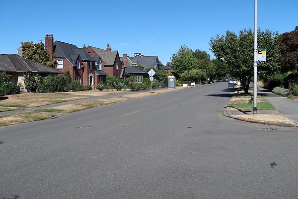 Magnolia Residential Streets - 13
