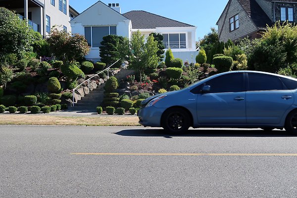 Magnolia Residential Streets - 37
