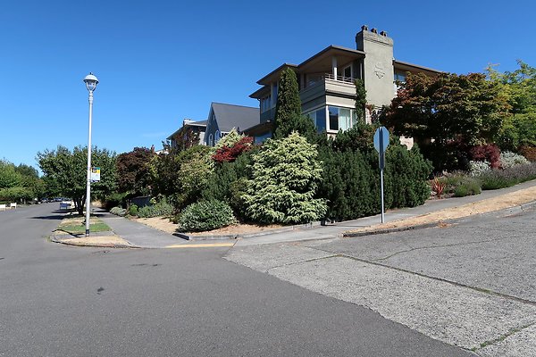 Magnolia Residential Streets - 15