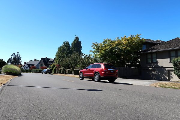 Magnolia Residential Streets - 27
