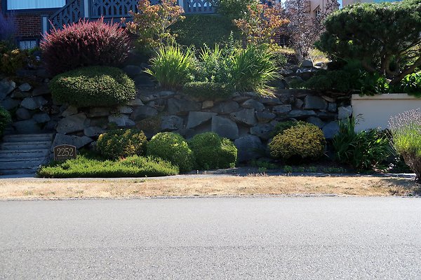 Magnolia Residential Streets - 31