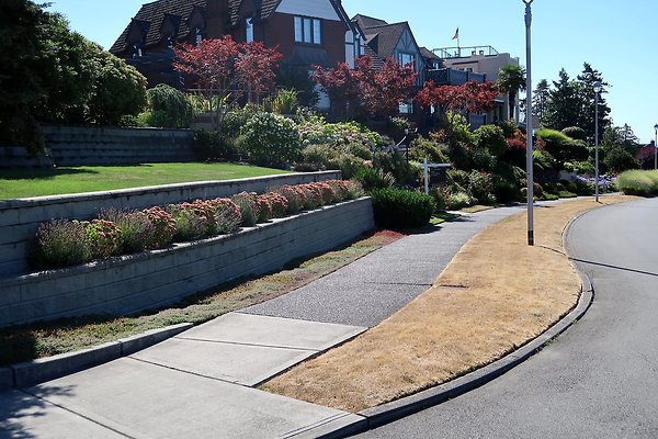 Magnolia Residential Streets - 8