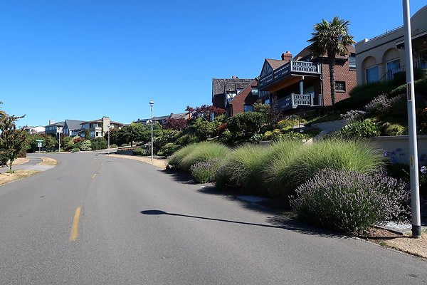 Magnolia Residential Streets - 3