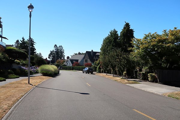 Magnolia Residential Streets - 26