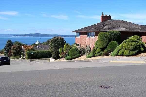 Magnolia Residential Streets - 11