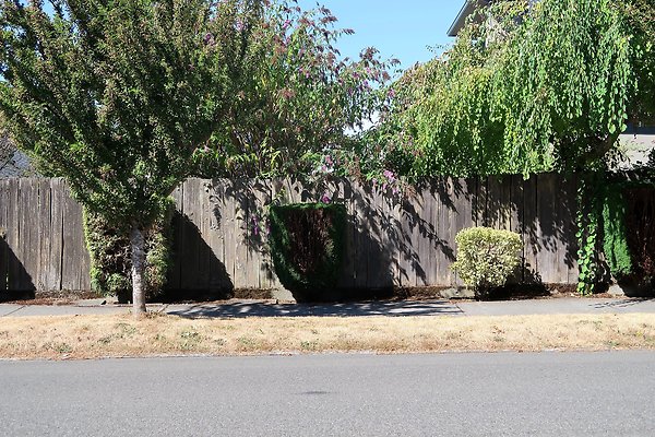 Magnolia Residential Streets - 33
