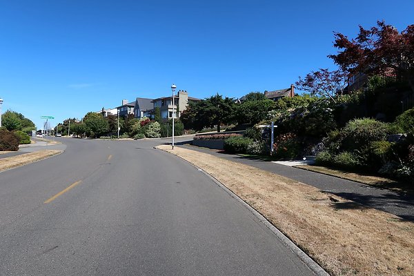 Magnolia Residential Streets - 6