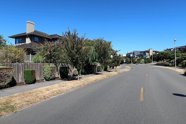Magnolia Residential Streets - 2