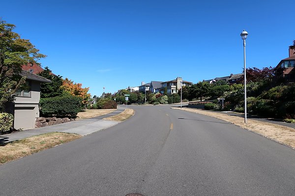 Magnolia Residential Streets - 4