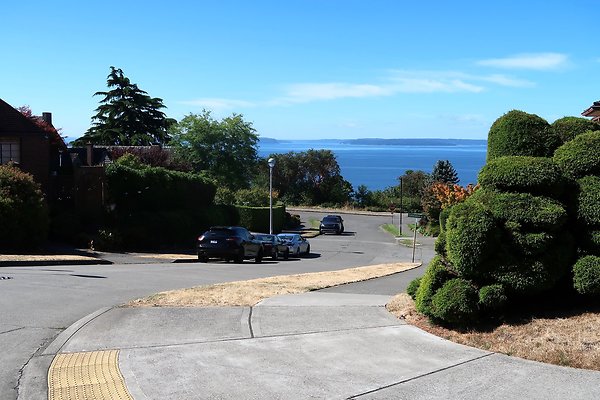 Magnolia Residential Streets - 22