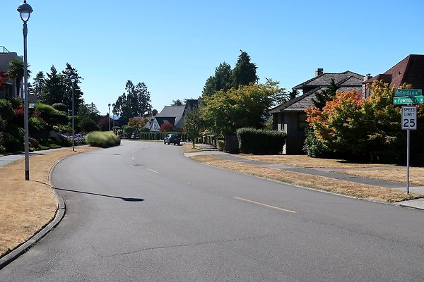 Magnolia Residential Streets - 9
