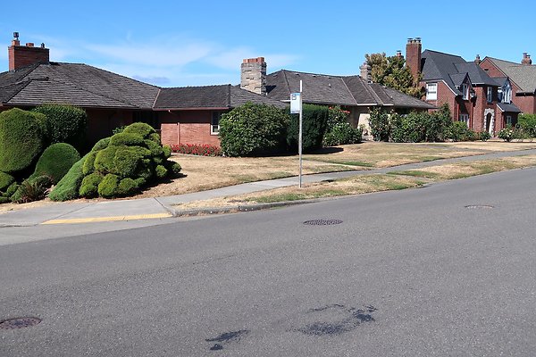 Magnolia Residential Streets - 12