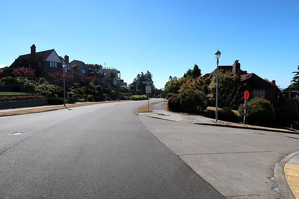 Magnolia Residential Streets - 19