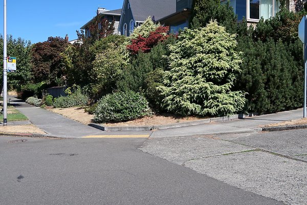 Magnolia Residential Streets - 14