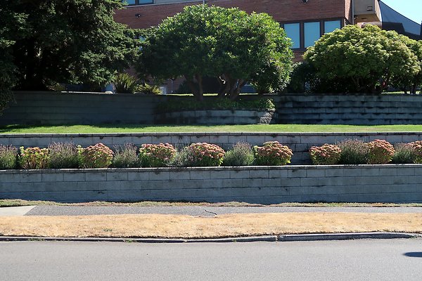 Magnolia Residential Streets - 23