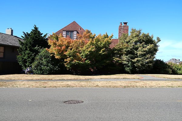 Magnolia Residential Streets - 25