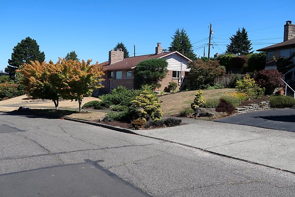 Olympic Manor Residential Streets - 8