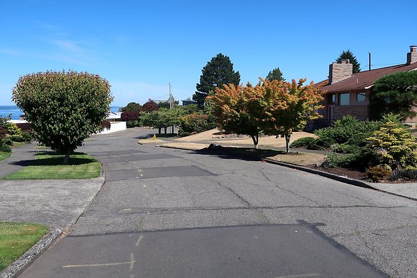 Olympic Manor Residential Streets - 7