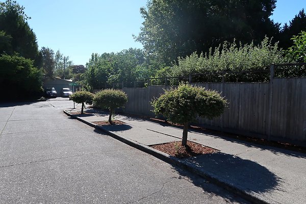 3823 McGilvra Madison Park House - 3