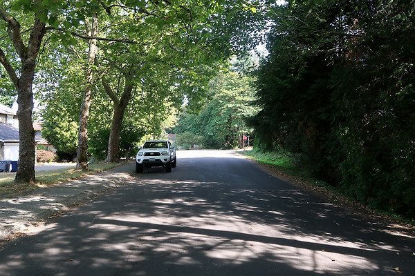 12737 NE 112th St Kirkland House EXT - 58