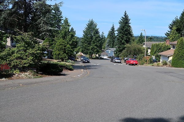 12737 NE 112th St Kirkland House EXT - 61