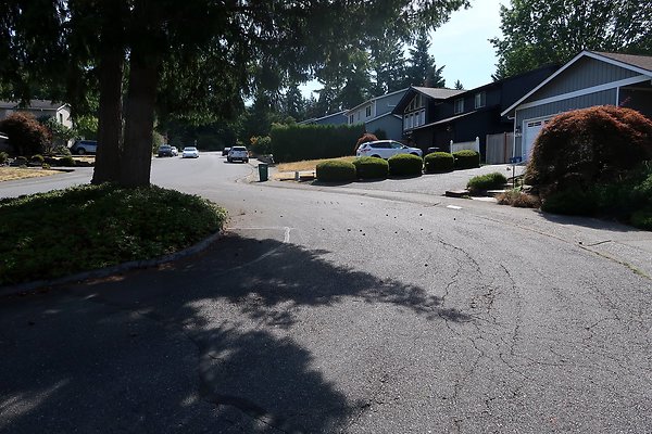 12737 NE 112th St Kirkland House EXT - 81