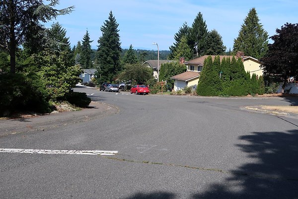12737 NE 112th St Kirkland House EXT - 59