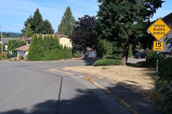 12737 NE 112th St Kirkland House EXT - 62