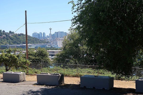 Judkins Viewpoint - 12