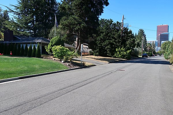 221 110th Ave SE Bellevue House Ext - 7
