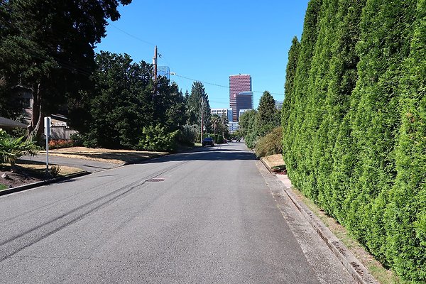 221 110th Ave SE Bellevue House Ext - 8