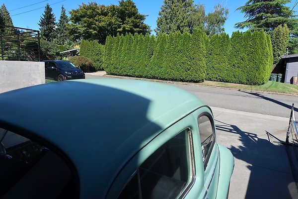 221 110th Ave SE Bellevue House Ext - 16
