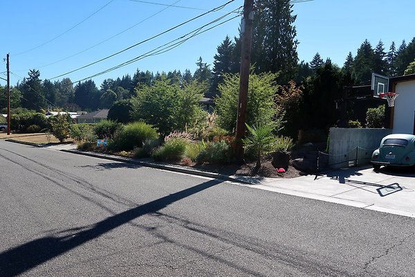221 110th Ave SE Bellevue House Ext - 4