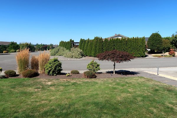 4405 134th Pl SE Bellevue House Ext  - 11