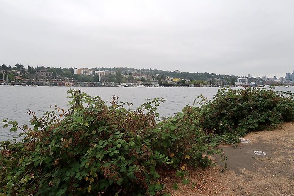 Gasworks Park 2025 - 2