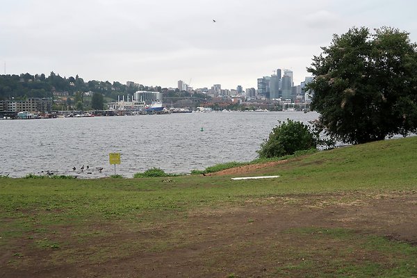 Gasworks Park 2025 - 32