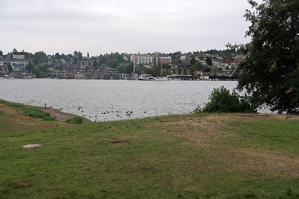 Gasworks Park 2025 - 46