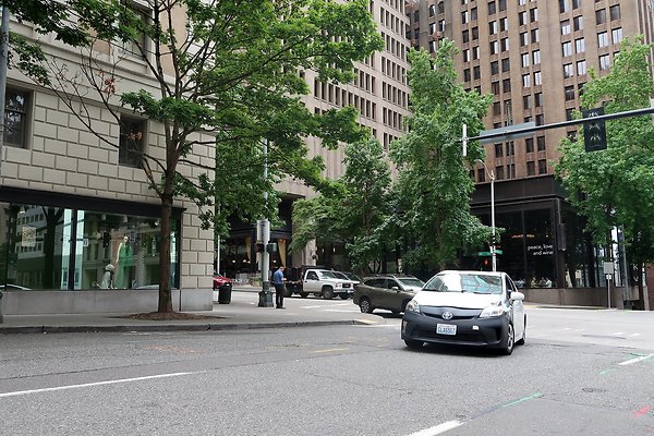 4th and University City Streets 2025 - 28