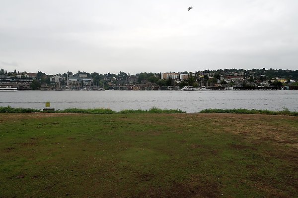 Gasworks Park 2025 - 24