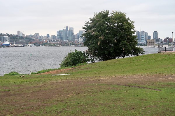 Gasworks Park 2025 - 27