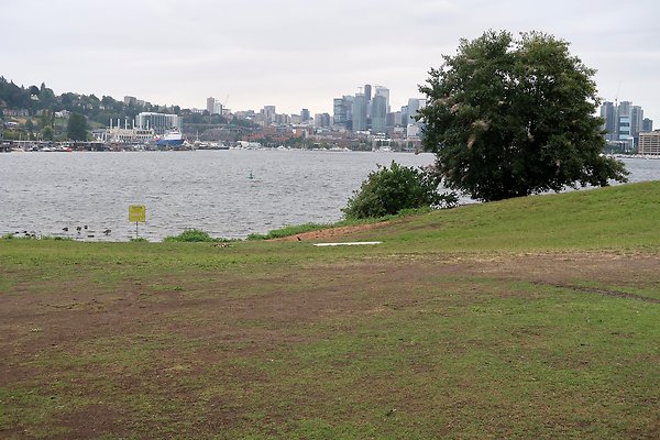 Gasworks Park 2025 - 31