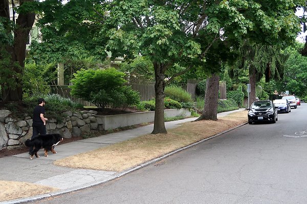 Capitol Hill Residential Streets 2025 - 60