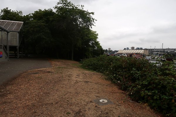 Gasworks Park 2025 - 7