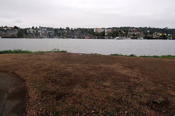Gasworks Park 2025 - 10
