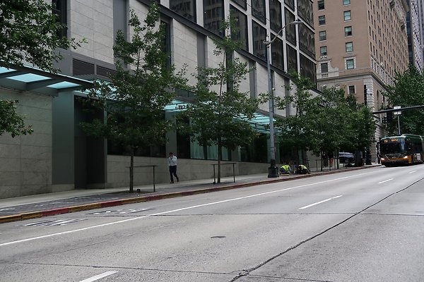 4th and University City Streets 2025 - 42